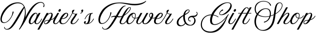 company logo company logo