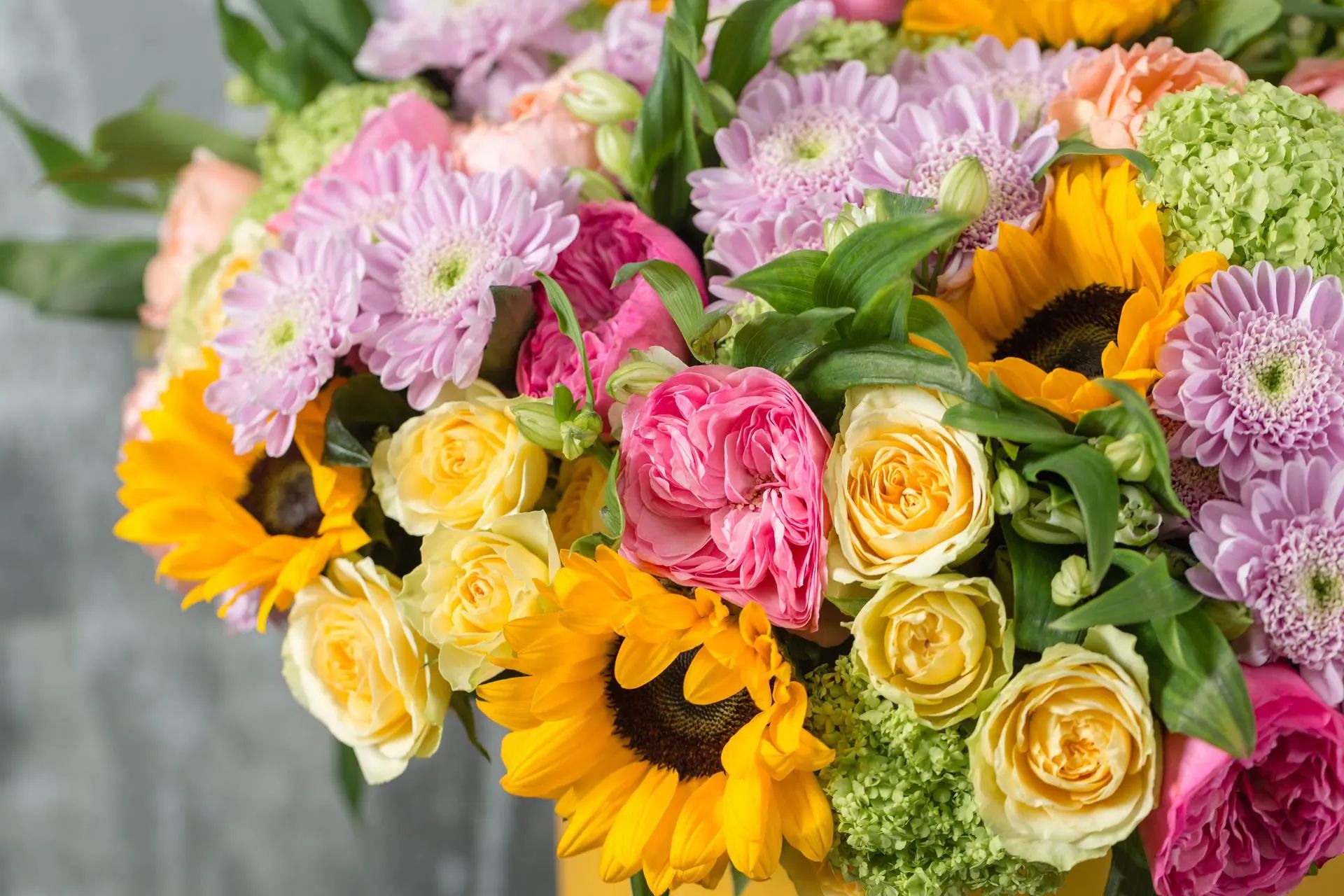 Featured flowers