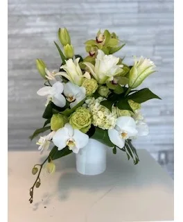 Beautiful Blossoms Beautiful Blossoms