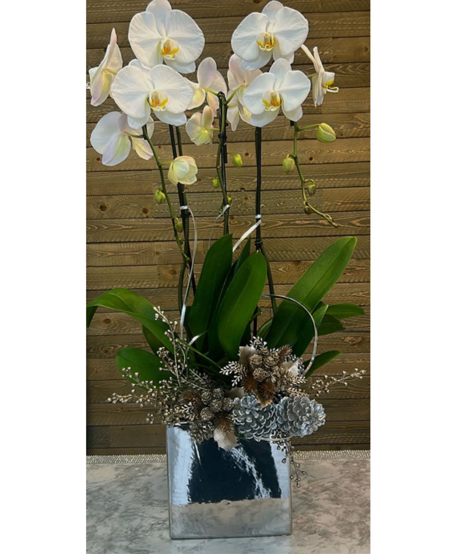 Winter Orchid Elegance Christmas