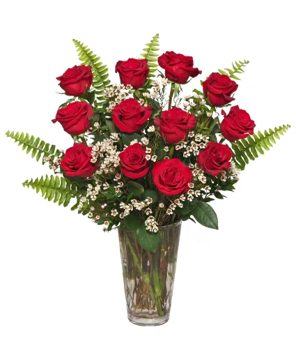 Ravishing Dozen Rose Arrangement Ravishing Dozen Rose Arrangement