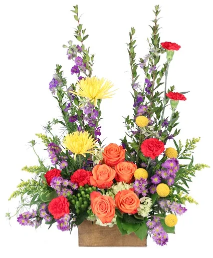 Compassionate Colors Sympathy Flowers Compassionate Colors Sympathy Flowers