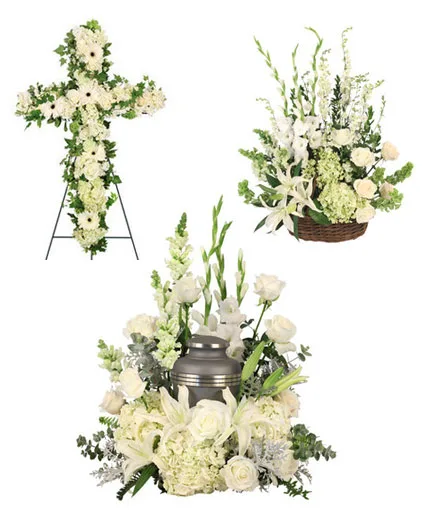 Graceful Eternity Sympathy Collection Graceful Eternity Sympathy Collection