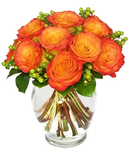 Flames of Passion Dozen Roses Flames of Passion Dozen Roses