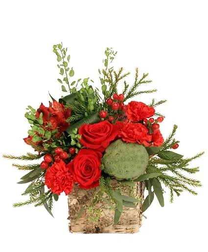 Gorgeous Greens & Reds Flower Arrangement Gorgeous Greens & Reds Flower Arrangement