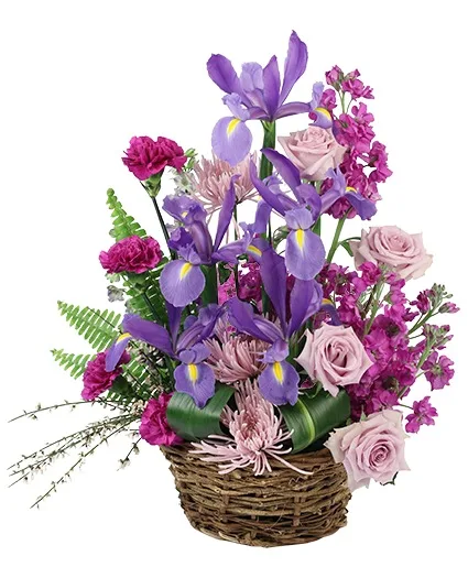 Iris Affection Basket Arrangement Iris Affection Basket Arrangement