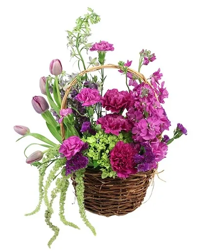 Tasteful Plums Basket Arrangement Tasteful Plums Basket Arrangement