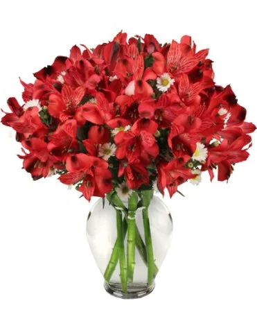 Passionate Peruvian Lily Bouquet Passionate Peruvian Lily Bouquet