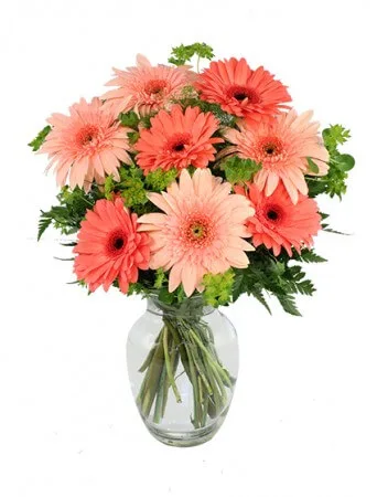 Crazy in Love Daisies Arrangement Crazy in Love Daisies Arrangement