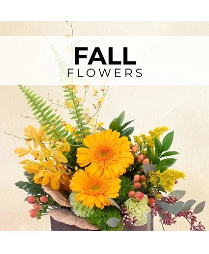 Fall Florist’s Pick Designer's Choice Fall Florist’s Pick Designer's Choice