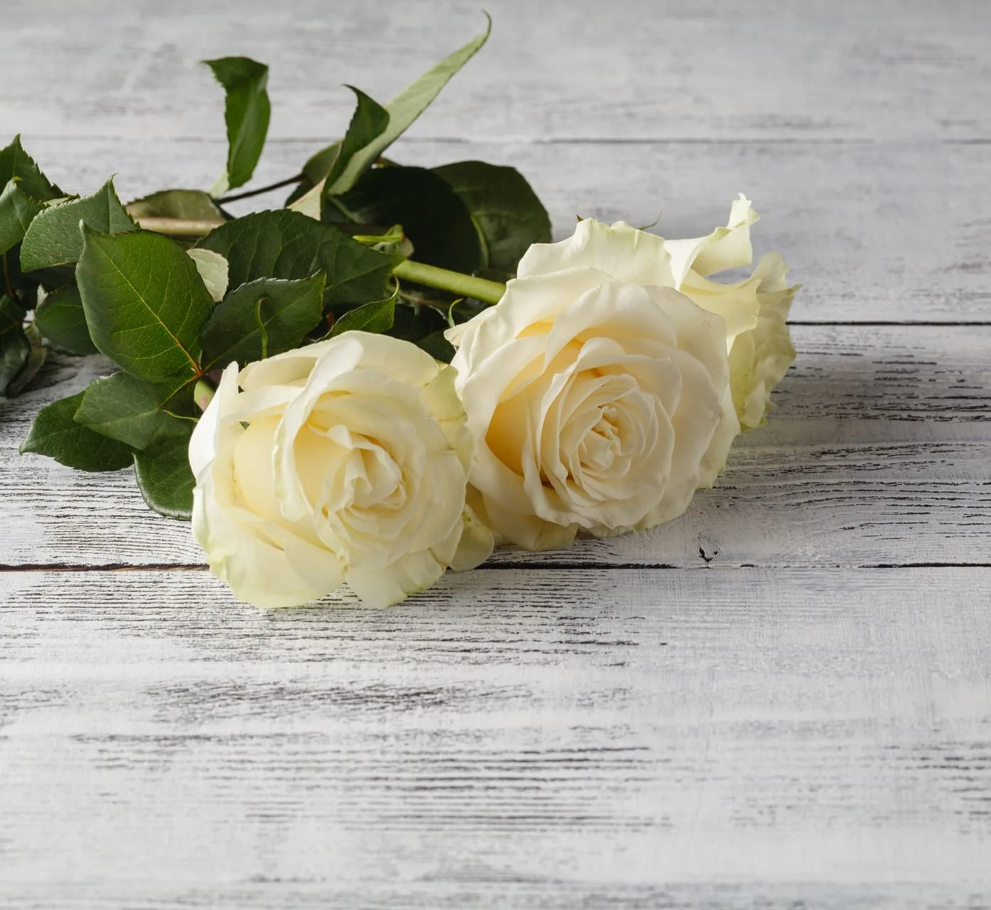Flower shop image Flower shop image
