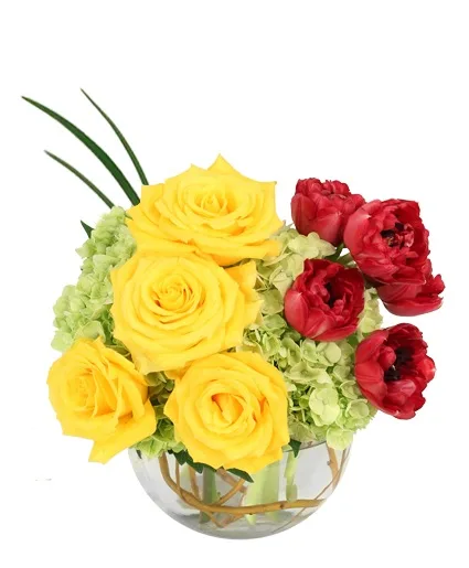 Crimson Sunrise Vase Arrangement Crimson Sunrise Vase Arrangement