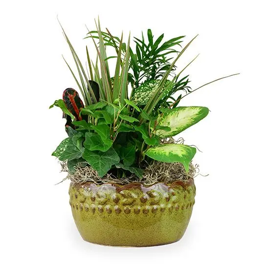 Garden Basket Garden Basket