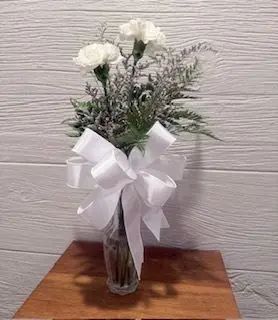 Carnation Cutie