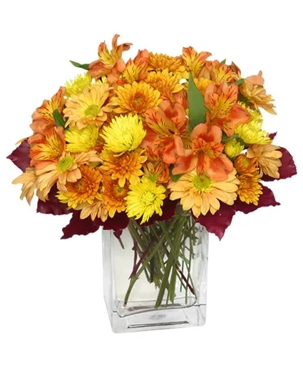 AMBER WAVES Arrangement AMBER WAVES Arrangement