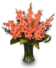 GLORIOUS GLADIOLUS Flower Vase GLORIOUS GLADIOLUS Flower Vase