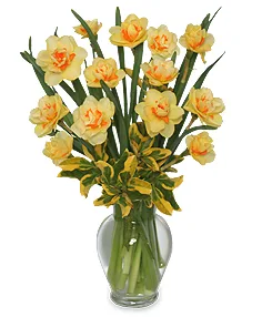 SPRING DAFFODILS Arrangement SPRING DAFFODILS Arrangement