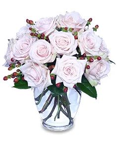 Rare Beauty Bouquet of Pale Pink Roses