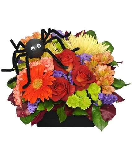 ALONG CAME A SPIDER Halloween Bouquet ALONG CAME A SPIDER Halloween Bouquet