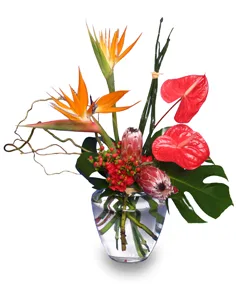 EXOTIC FLORAL VASE of Fresh Flowers EXOTIC FLORAL VASE of Fresh Flowers