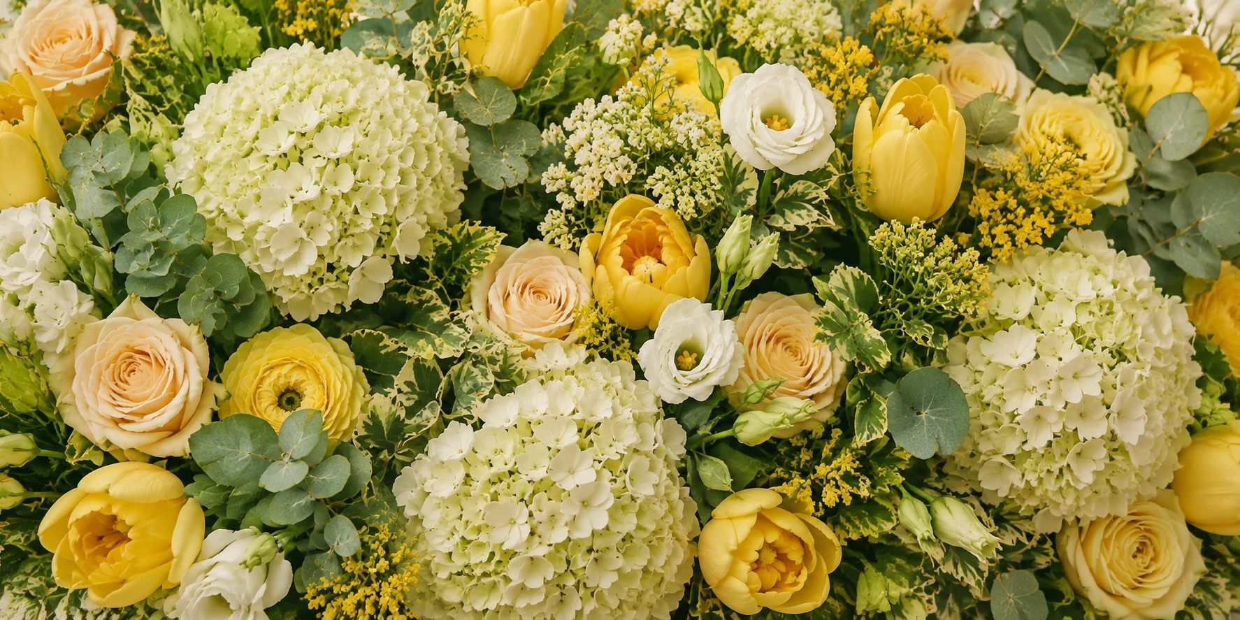 Featured flowers Featured flowers