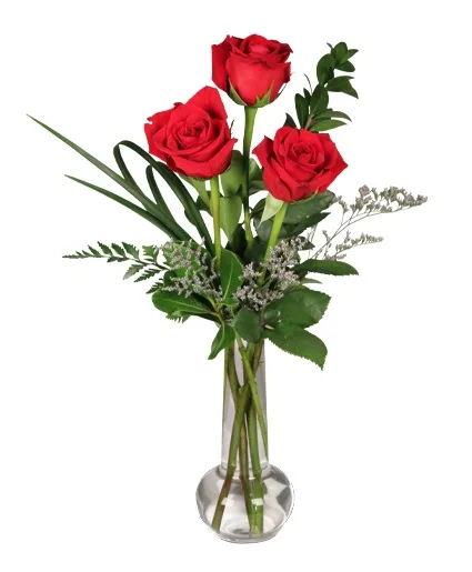 Red Rose Bud Vase 3 Premium Roses Red Rose Bud Vase 3 Premium Roses
