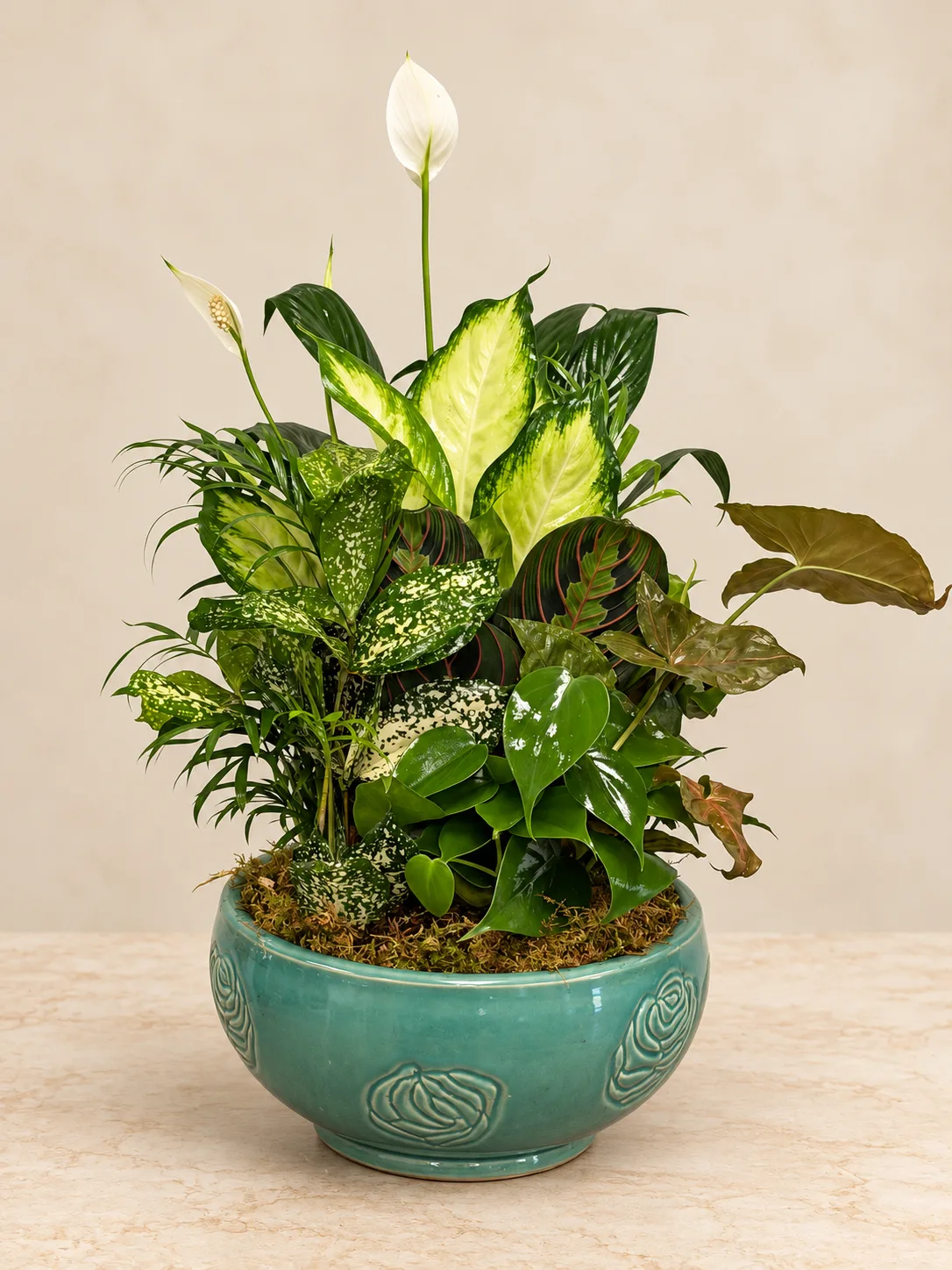 10" Dish Garden 10" Dish Garden
