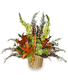 WELCOME SPRING Basket of Flowers WELCOME SPRING Basket of Flowers