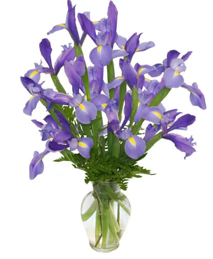 FLEUR-DE-LIS Iris Vase FLEUR-DE-LIS Iris Vase