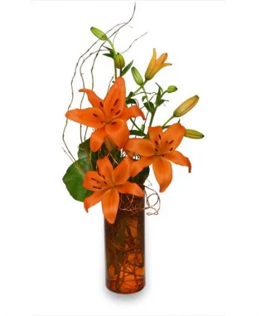 ORANGE YOU GREAT Flower Arrangement ORANGE YOU GREAT Flower Arrangement