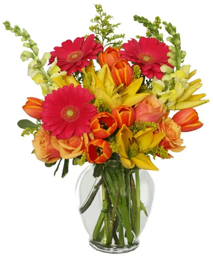 SUN-DRENCHED COLOR Arrangement SUN-DRENCHED COLOR Arrangement