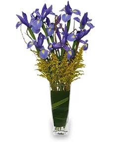 ALL THE RAGE Iris Vase ALL THE RAGE Iris Vase