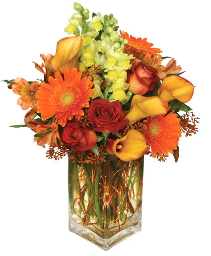 AUTUMN ADVENTURE Arrangement AUTUMN ADVENTURE Arrangement