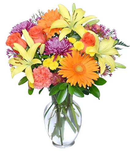 SEPTEMBER SUN Bouquet of Flowers SEPTEMBER SUN Bouquet of Flowers
