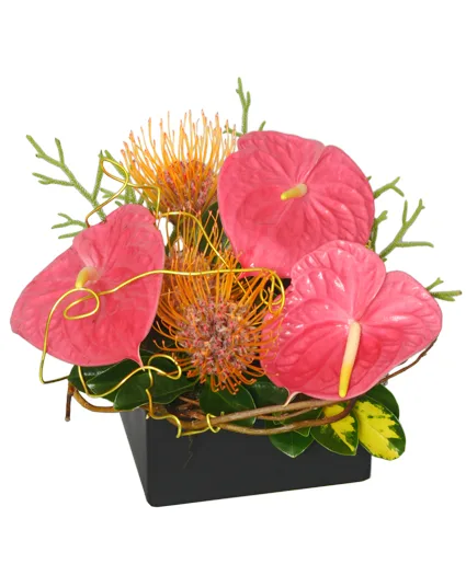 BEAUTY INTERTWINED Floral Arrangement BEAUTY INTERTWINED Floral Arrangement