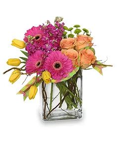 FLORAL AWAKENING Spring Flowers