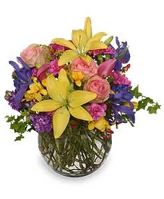 MOTHER NATURE'S EXPRESSION BOUQUET MOTHER NATURE'S EXPRESSION BOUQUET
