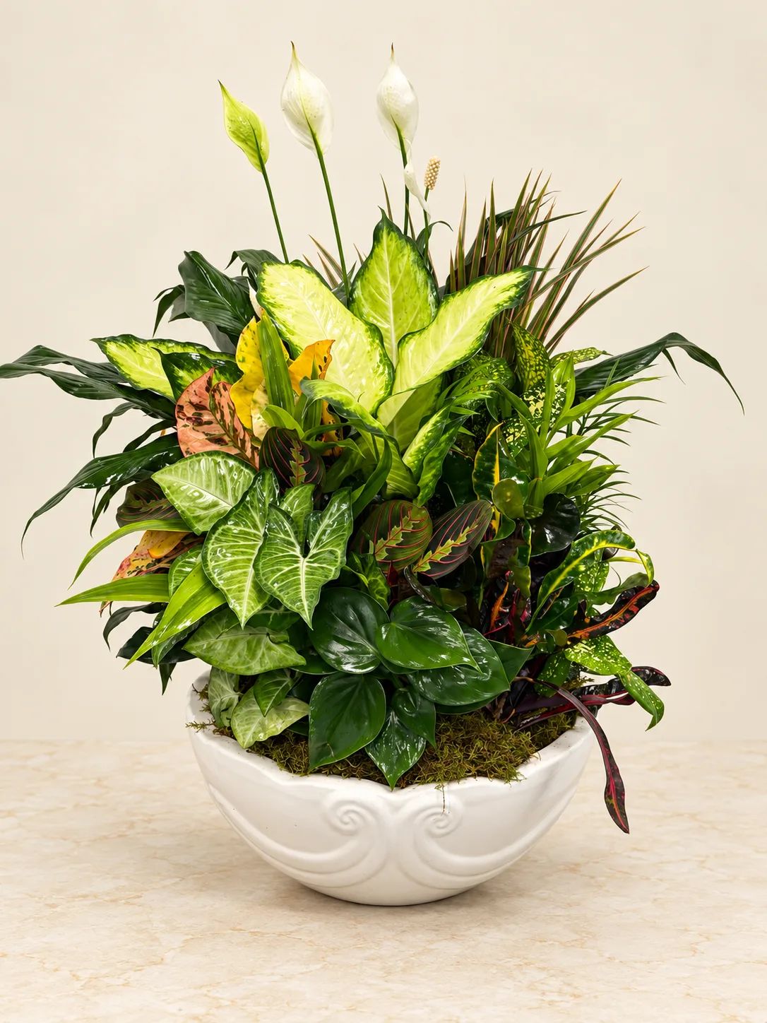 14" Dish Garden