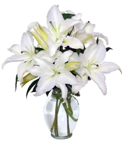 Casa Blanca Lilies Arrangement Casa Blanca Lilies Arrangement