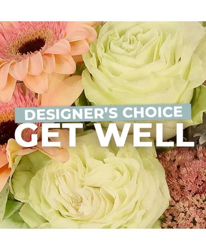 Get Well Florals Designer's Choice Get Well Florals Designer's Choice