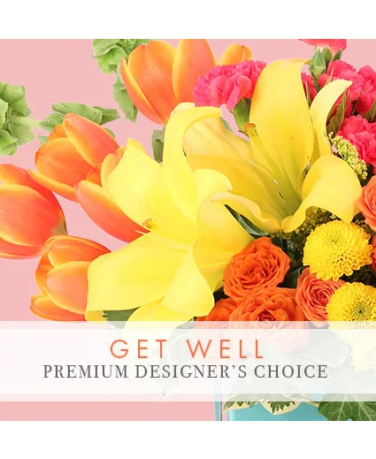 Premium Get Well Florals Designer's Choice Premium Get Well Florals Designer's Choice