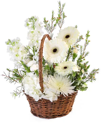 Pristine White Basket Floral Arrangement Pristine White Basket Floral Arrangement