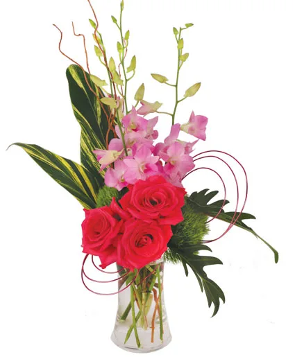 Pink Dendrobium Dream Floral Design Pink Dendrobium Dream Floral Design