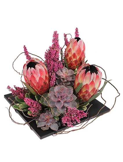 Modern Expressions Arrangement Modern Expressions Arrangement