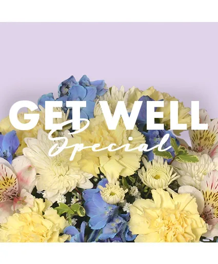 Get Well Special Designer's Choice Get Well Special Designer's Choice