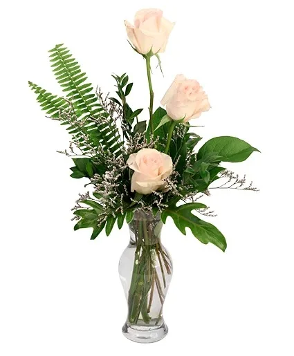 Captivating Cream Roses Rose Arrangement Captivating Cream Roses Rose Arrangement
