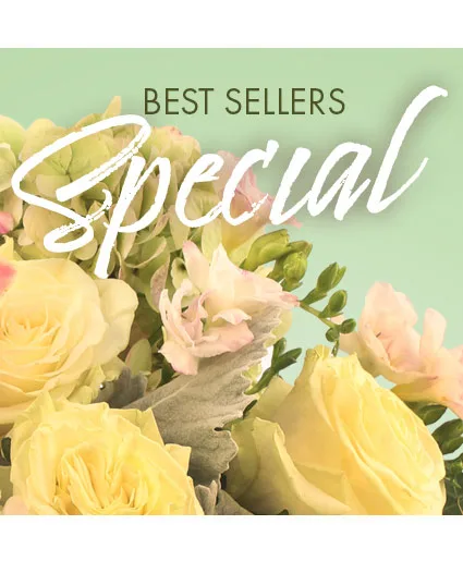 Best Sellers Special Designer's Choice Best Sellers Special Designer's Choice