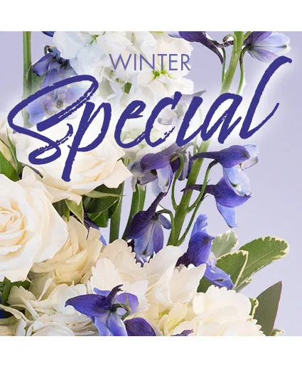 Winter Favorite Designer's Choice Winter Favorite Designer's Choice