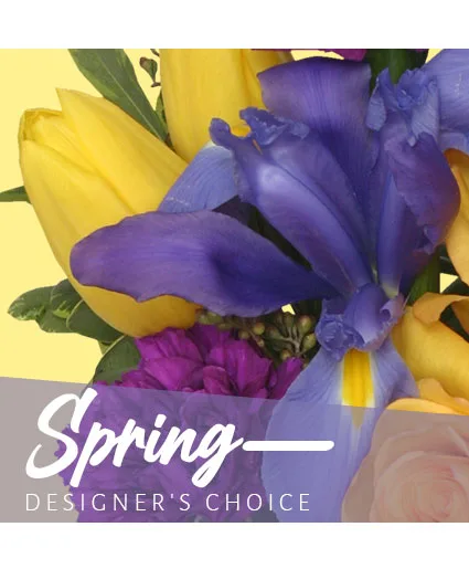 Spring Designer's Choice Spring Designer's Choice