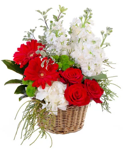 Crimson & Ivory Basket Arrangement Crimson & Ivory Basket Arrangement